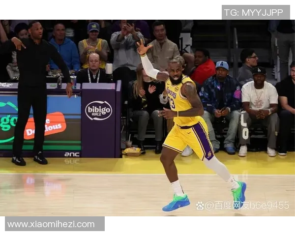 2019年2月24日湖人对阵鹈鹕的精彩对决回顾与赛后分析